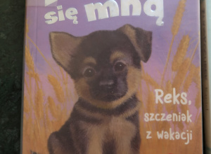 „Wakacje z książką”