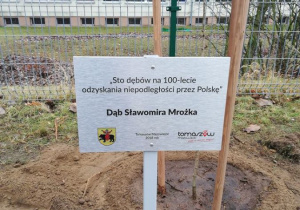 Dębowa Aleja Niepodległości 