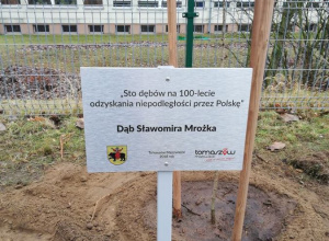 Dębowa Aleja Niepodległości 