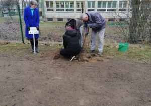 Dębowa Aleja Niepodległości 