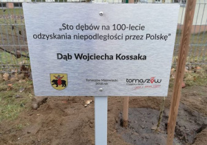 Dębowa Aleja Niepodległości 