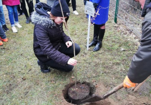 Dębowa Aleja Niepodległości 