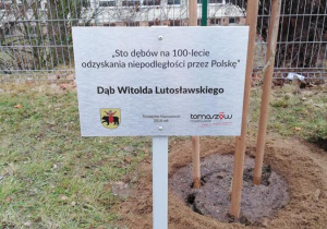 Dębowa Aleja Niepodległości 