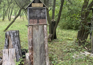 Leśna wycieczka