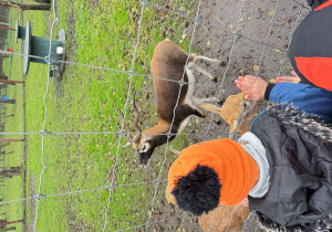 Wycieczka do Dobronianki