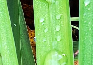 Jesienne warsztaty fotograficzne