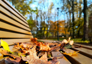 Jesienne warsztaty fotograficzne