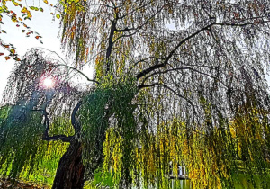 Jesienne warsztaty fotograficzne