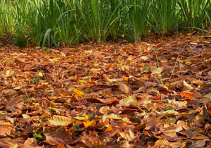 Jesienne warsztaty fotograficzne