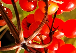 Jesienne warsztaty fotograficzne