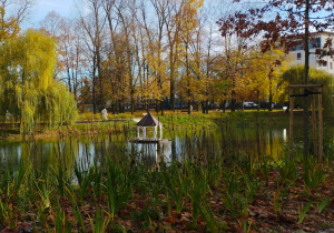 Jesienne warsztaty fotograficzne