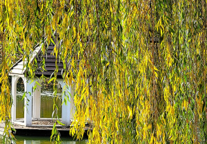 Jesienne warsztaty fotograficzne