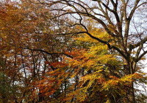 Jesienne warsztaty fotograficzne
