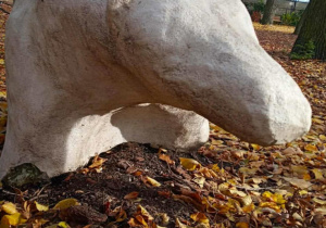 Jesienne warsztaty fotograficzne