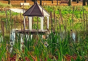 Jesienne warsztaty fotograficzne