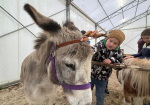 Z wizytą u świętego Mikołaja