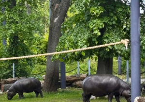 Wycieczka do Łodzi