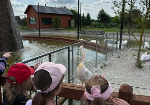 Uczniowie w Zoo Borysew