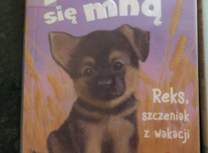 „Wakacje z książką”