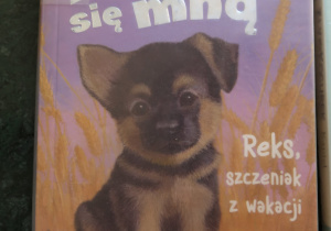 „Wakacje z książką”