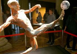 Na wystawie Human Body Exhibition